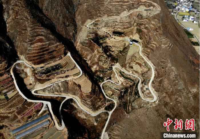  甘肃文县“聋山”渐通途 高山居民拓荒地里种药材